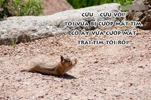 Gốc đánh giá truyện tranh 3573 Online