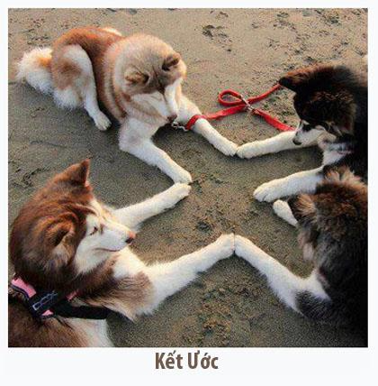 Thảo Luận truyện tranh Zero no Tsukaima! Online