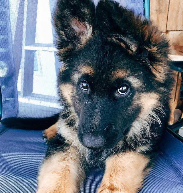 Ai Tóm tắt giúp truyện chữ Cấp trên tỷ tỷ trước liêu ta Novel Online