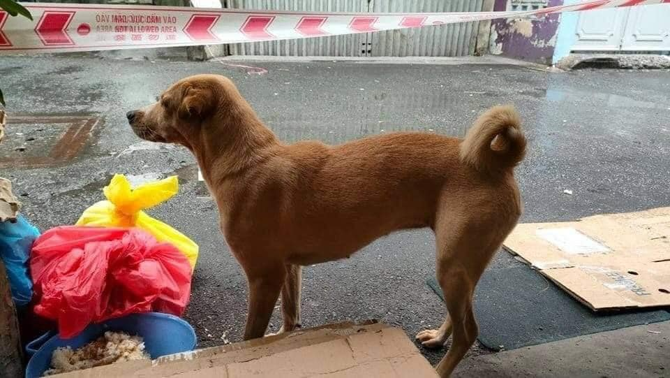 Review về  truyện chữ AD Carry[ điện cạnh ] Novel Online