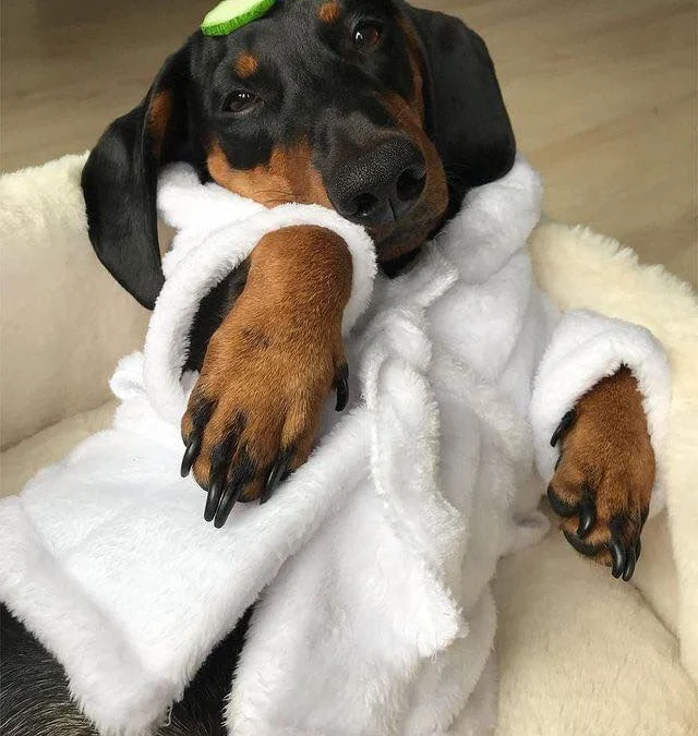 Ai Tóm tắt giúp truyện chữ Ta, quang minh Thánh Nữ, tay xé ngoại thần!  Novel Online