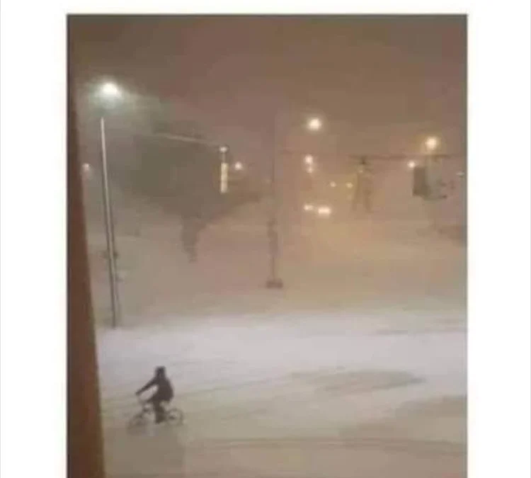 Review về  truyện chữ Liền tính ngươi là kẻ điên Novel Online