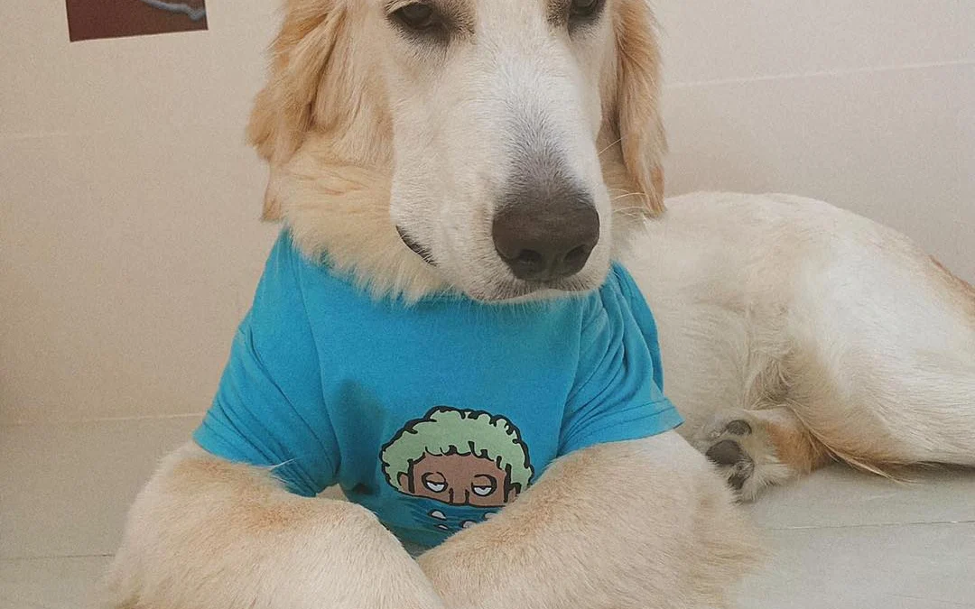 Ai Tóm tắt giúp truyện chữ Nợ tình khó thường tam diệp thảo Novel Online