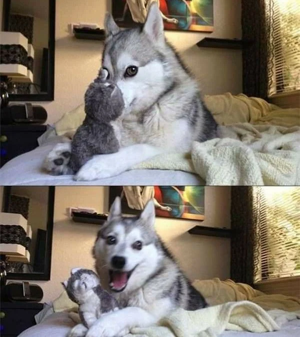 Gốc đánh giá truyện tranh 3488 Online