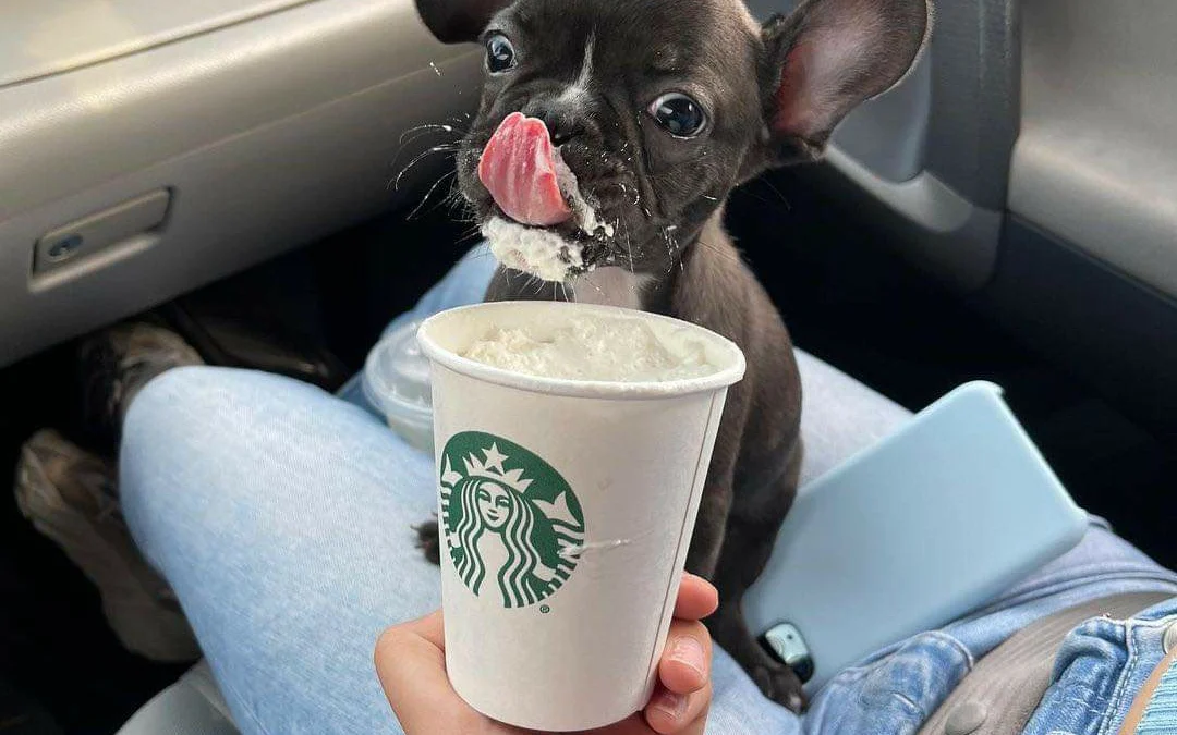 Gốc đánh giá truyện chữ Đêm khuya người sói sát Novel Online