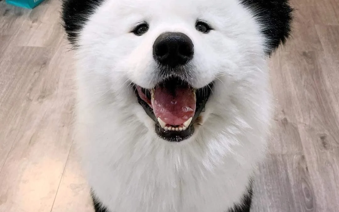 Gốc đánh giá truyện tranh 3375 Online