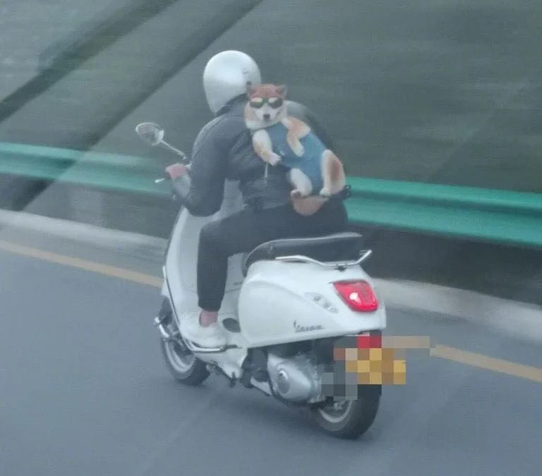 Thảo Luận truyện tranh Đối Phương Phải Tỏ Tình Trước Online