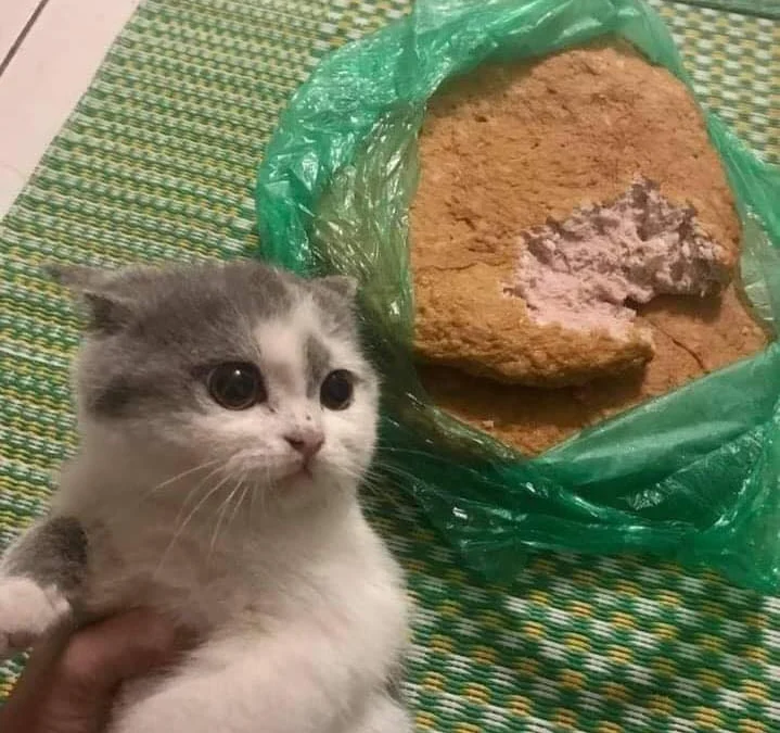 Review truyện tranh Cuồng Đao 04 Online