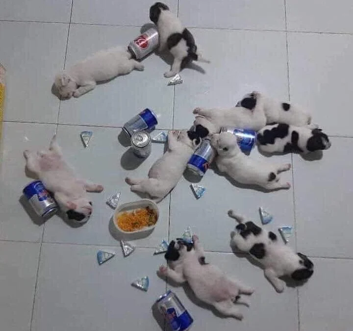 Gốc đánh giá truyện tranh 4164 Online