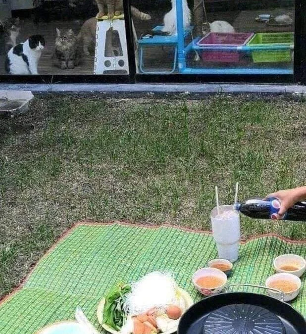 Review về  truyện chữ Ta có thể nhìn đến ta ca hệ thống giao diện Novel Online