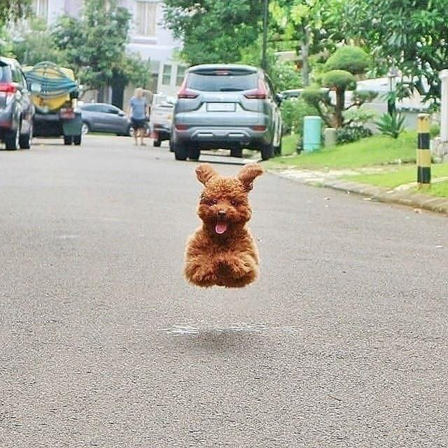 Gốc đánh giá truyện chữ Thất tinh 80 hạ phàm ký Novel Online