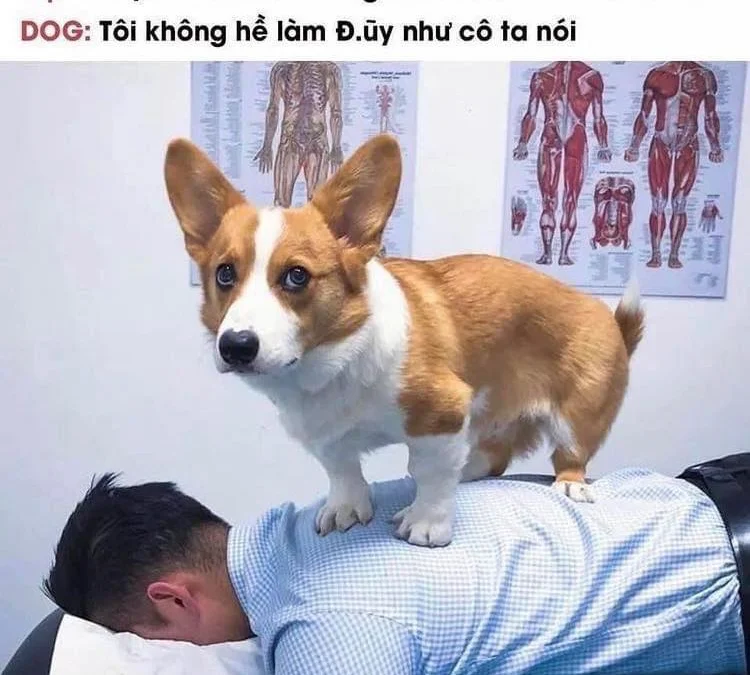 Review truyện tranh Mục Đích Trở Thành Thợ Rèn Khải Huyền Ở Thế Giới Khác Online