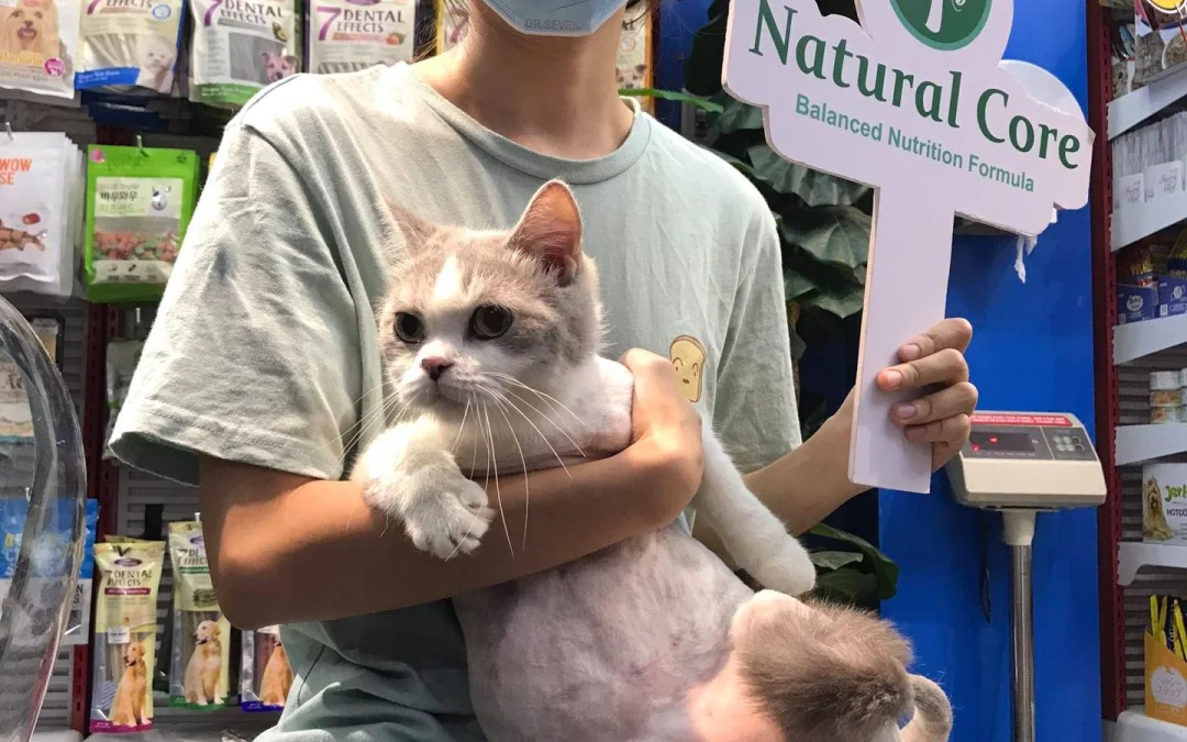 Review truyện tranh Tái sinh với cơ thể bất khả chiến bại Online