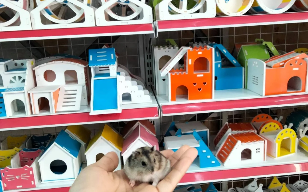 Gốc đánh giá truyện tranh The Memory Of Wind: Anz Online