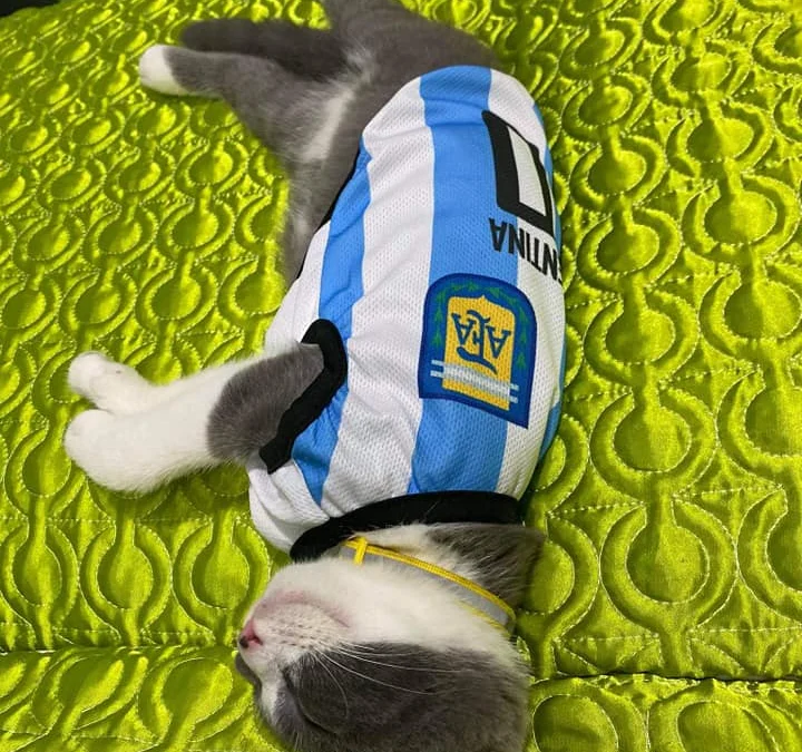 Review truyện tranh Nhân Trùng Đại Chiến Online