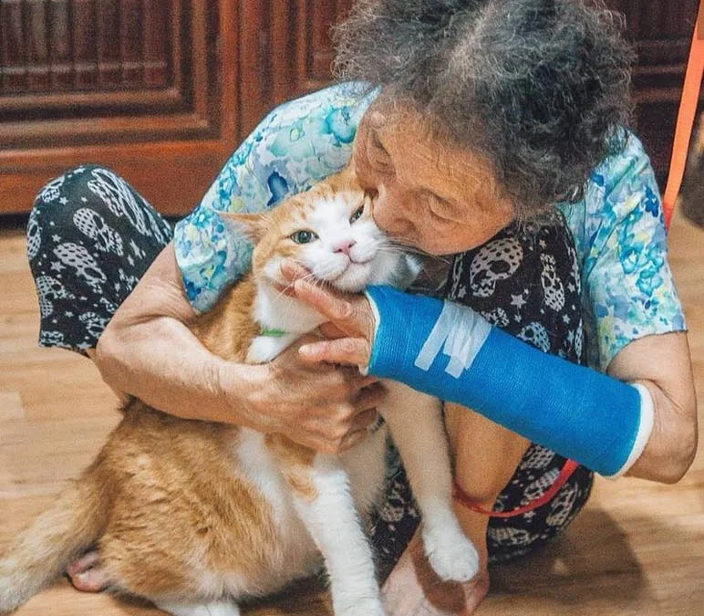 Thảo Luận truyện tranh Konya wa Tsuki ga Kirei Desu ga, Toriaezu Shi ne Online