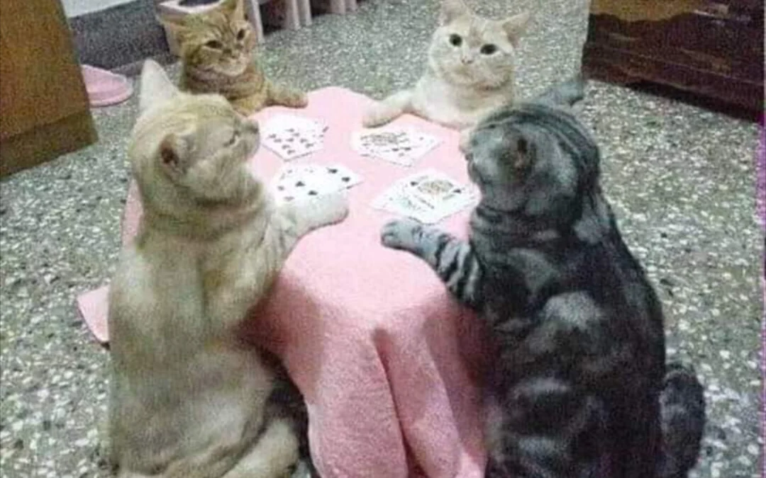 Review truyện tranh Sát Thủ Anh Vũ Online