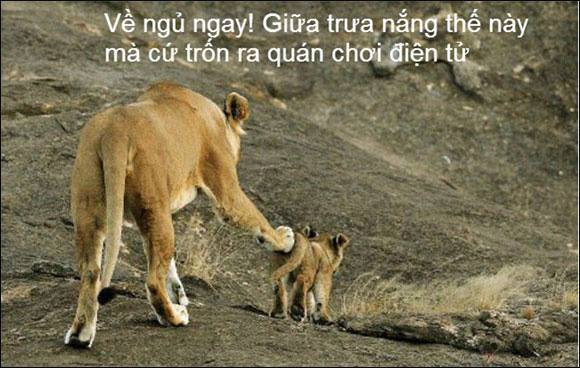 Gốc đánh giá truyện tranh Nhân Vật Phản Diện Xứng Đôi Với Bạo Chúa Online