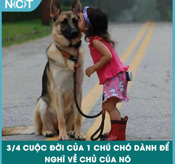 Thảo Luận truyện chữ Hắn luôn muốn trộm hống ta Novel Online