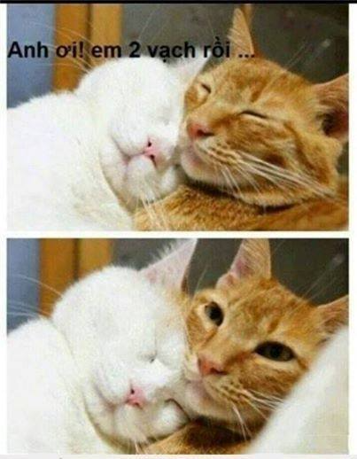 Review truyện tranh Đừng Khóc Online