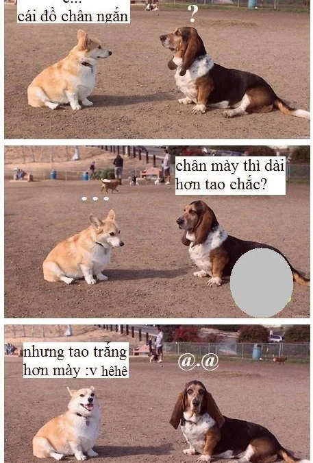 Thảo Luận truyện chữ Chuyển sinh trước ta rốt cuộc làm cái gì? Novel Online