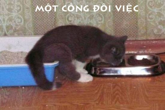 Gốc đánh giá truyện tranh Kamigami ni Sodaterare Shimo no, Saikyou to Naru Online