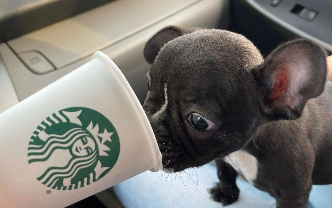 Thảo Luận truyện tranh Manh Động Thú Thế Online