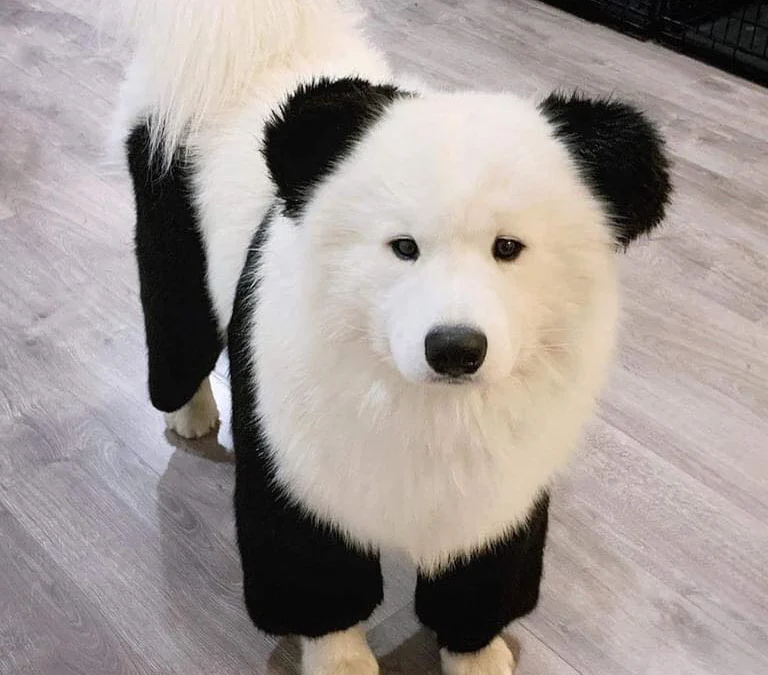 Gốc đánh giá truyện tranh Isekai De Tochi O Katte Noujou O Tsukurou Online