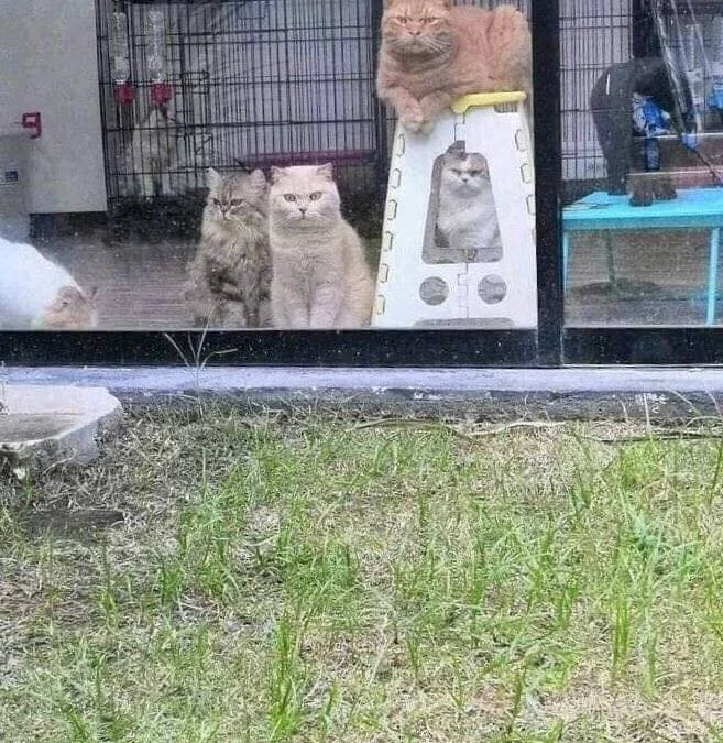 Thảo Luận truyện tranh Tình Yêu Duy Nhất Của Tôi Online