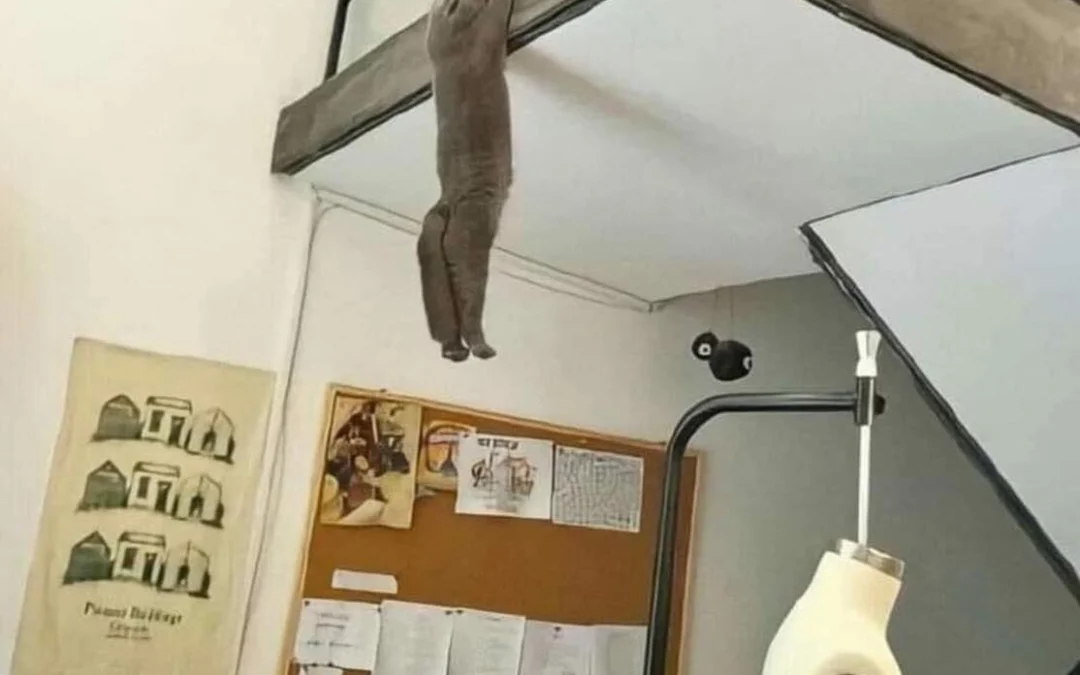 Thảo Luận truyện tranh Tôi Không Phải Quỷ Vương Online