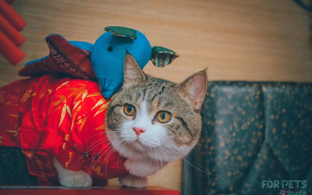 Thảo Luận truyện tranh Anh Hùng Trở Lại Online