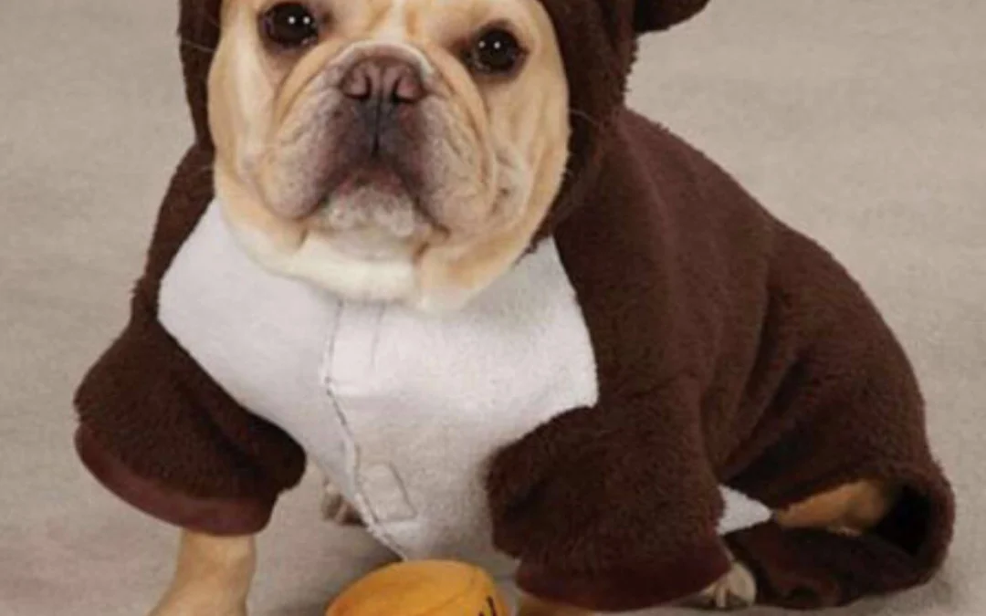 Review truyện tranh Quý Phi Lúc Nào Cũng Muốn Được Lười Biếng Online