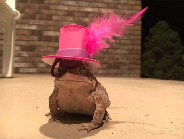 Review truyện tranh Hard Core Leveling Warrior ss2 Online