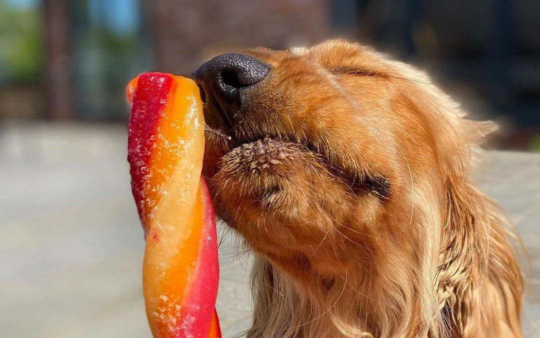 Gốc đánh giá truyện tranh Cội nguồn ánh sáng Online