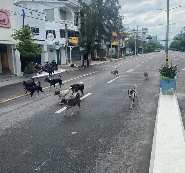 Gốc đánh giá truyện chữ Xuyên nhanh chi nữ xứng muốn thượng vị  Novel Online