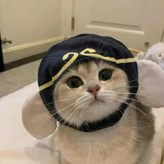 Review truyện tranh Người Chơi Trở Về Từ Địa Ngục Online