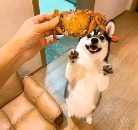 Gốc đánh giá truyện tranh Coffee wo Shizuka ni Online