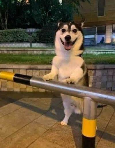 Review truyện tranh Kujibiki Tokushou: Musou Hāremu Ken Online