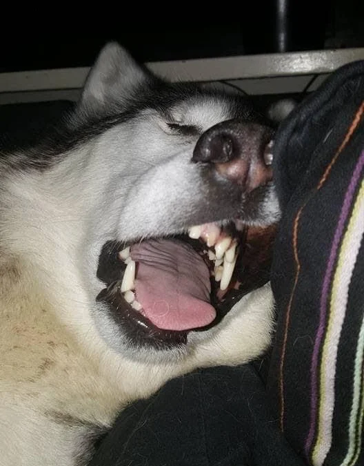 Thảo Luận truyện chữ Có tật xấu  Novel Online