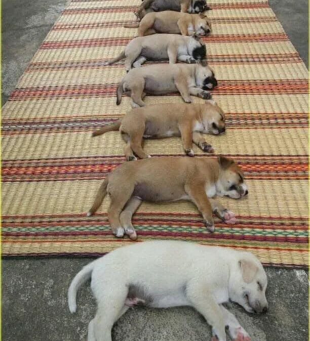 Review về  truyện chữ  Người ở thế giới giả tưởng, khai cục buôn bán vai chính vở  Novel Online