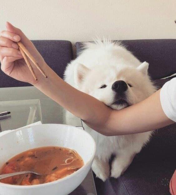 Tóm tắt truyện chữ [ HP ] Gryffindor khấu thập phần  Novel Online