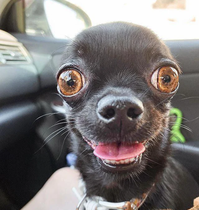 Thảo Luận truyện chữ Săn ma nhân thế giới ma kiếm sĩ  Novel Online