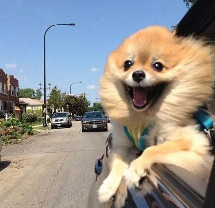 Thảo Luận truyện chữ Tiểu hoa sen hôm nay thăng chức sao  Novel Online