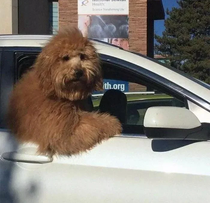 Ai Tóm tắt giúp truyện chữ Vị này dũng giả càng là nhân gian chi tiết  Novel Online