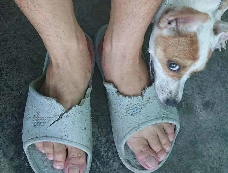 Gốc đánh giá truyện chữ [ Tổng Mạn ] Không cần ở thùng rác nhặt lão công  Novel Online