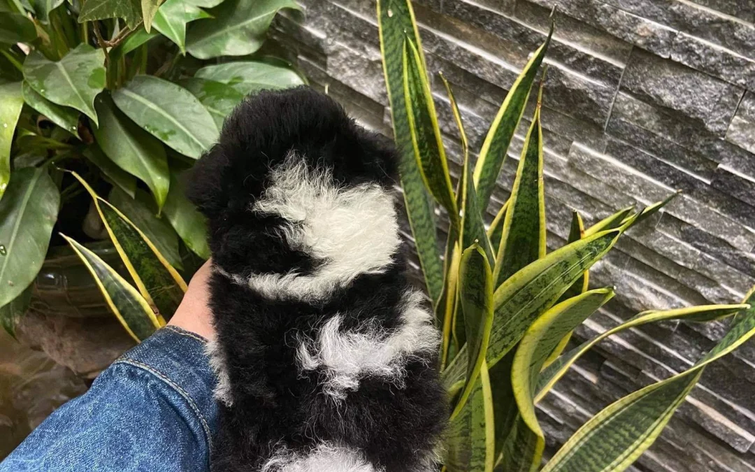 Gốc đánh giá truyện tranh Tôi Muốn Trở Thành Cô Ấy Chỉ Một Ngày Online