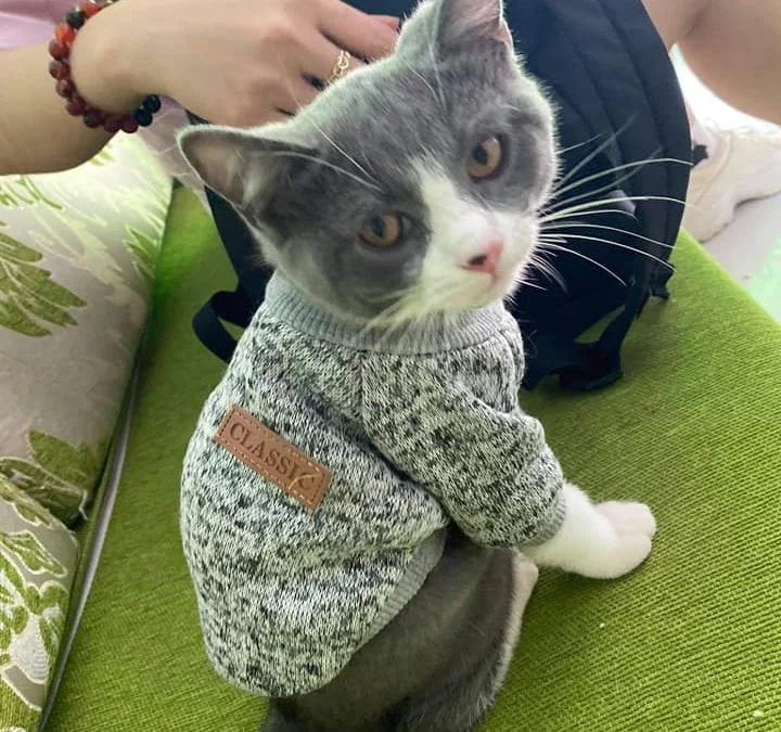 Thảo Luận truyện chữ Cùng quân biệt niên  Novel Online