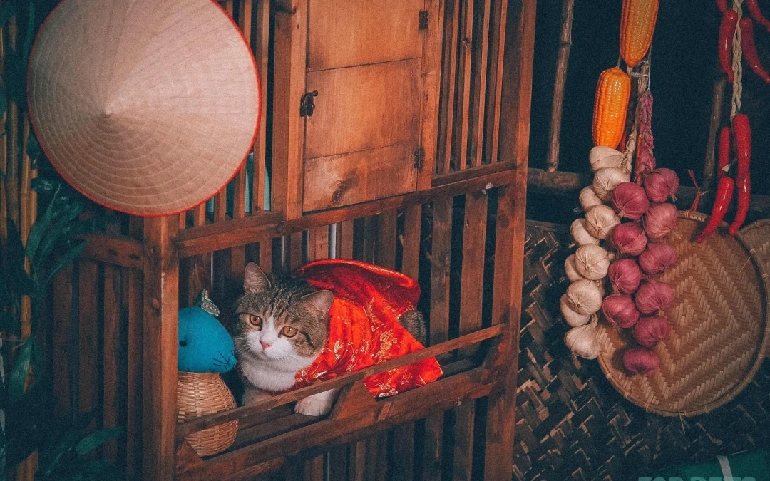 Gốc đánh giá truyện tranh Tu Tiên Phải Dựa Vào Sugar Mommy Online