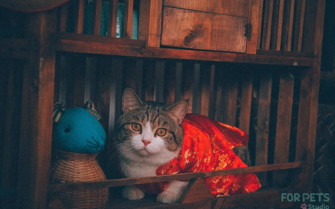 Gốc đánh giá truyện chữ Ta nhuyễn manh bạn gái quá ngọt!  Novel Online