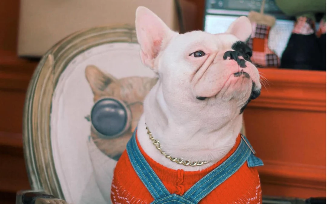 Thảo Luận truyện tranh Quán Cà Phê Sách Của Vị Cứu Tinh Ở Một Thế Giới Khác Online